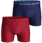 Björn Borg FUN - Sportonderbroek - Heren - BB Japanese Wave - Maat M