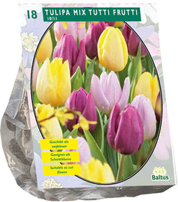 Tulipa Mix Tutti Frutti - 1 x 18 bloembollen