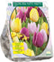 Tulipa Mix Tutti Frutti - 1 x 18 bloembollen