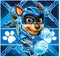 Clementoni - Puzzel - 3x48 Stukjes - Paw Patrol - Vrolijke Kinderpuzzels - Vanaf 5 Jaar