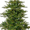 Everlands Grandis fir - H 270 cm D 172 - LED verlichting warm wit