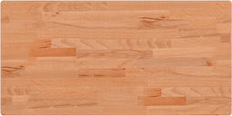 vidaXL - Tafelblad - rechthoekig - 80x40x2,5 - cm - massief - beukenhout