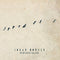 Johan Borger - Wild Geese Calling - CD (2023)