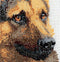 Thea Gouverneur - Borduurpakket met telpatroon - 934A - Voorgesorteerde DMC Garens - Herdershond - Aida - 24 cm x 33 cm - DIY Kit