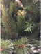 Triumph Tree Forest Frosted Kunstkerstboom Smal - H215 x Ø117 cm - Groen