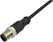 BKL Electronic 2700021 Sensor/actuator aansluitkabel M8 Aantal polen: 4 Stekker, recht 2 m 1 stuk(s)