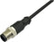 BKL Electronic 2700024 Sensor/actuator aansluitkabel M8 Aantal polen: 4.5 Stekker, recht 2 m 1 stuk(s)