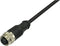 BKL Electronic 2702003 Sensor/actuator aansluitkabel M12 Aantal polen: 4 Koppeling, recht 2 m 1 stuk(s)