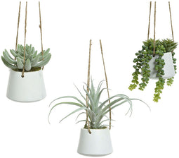 Decoratieve plant 800073 Vetplant 20 cm Om op te hangen Kunstmatig