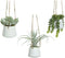 Decoratieve plant 800073 Vetplant 20 cm Om op te hangen Kunstmatig