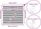 vidaXL - Zebra - rolgordijn - 160x100 - cm - stofbreedte - 155,9 - cm - donkergrijs