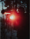 ArmyTek Viking XP-L warm Handlamp werkt op een accu LED 1150 lm 432 h 126 g