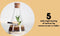 Suck UK Chemistry Terrarium Kit