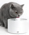 Jake and Jacky Keramische Drinkfontein - Waterfontein 2L - Fluisterstil - Keramisch Wit