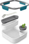 Black+Blum Lunchbox Original - 3 vakken - Blauw