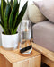 Black+Blum Personal Waterkaraf met Filter en Glas - 800ml