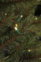 Black Box Finest Premium Kunstkerstboom - 180LED warmwit - H155xØ114