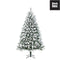 Black Box Franse kunstkerstboom chandler - 215x125 besneeuwd groen
