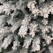 Black Box Franse kunstkerstboom chandler - 215x125 besneeuwd groen