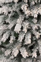 Black Box Franse kunstkerstboom chandler - 215x125 besneeuwd groen