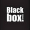 Black Box Franse kunstkerstboom chandler - 215x125 besneeuwd groen