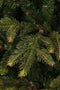Black Box Frasier Fir Kunstkerstboom - 230 x 147 - Groen