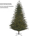 Black Box Frasier Fir Kunstkerstboom - 230 x 147 - Groen