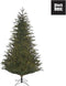 Black Box Frasier Fir Kunstkerstboom - 230 x 147 - Groen