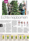 Black Box Frasier Fir Kunstkerstboom - 230 x 147 - Groen