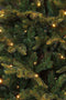 Black box Kunstkerstboom Frasier Fir - 140x102 cm - 168 LED Warmwit