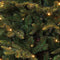 Black box Kunstkerstboom Frasier Fir - 140x102 cm - 168 LED Warmwit
