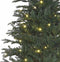Black box kunstkerstboom led frasier fir - 185x124 blauw groen 288 led