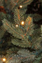 Black box kunstkerstboom led frasier fir - 185x124 blauw groen 288 led