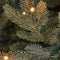 Black box kunstkerstboom led frasier fir - 185x124 blauw groen 288 led