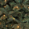 Black box kunstkerstboom led frasier fir - 185x124 blauw groen 288 led