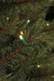 Black box kunstkerstboom led toronto fir maat in cm: 215 x 145 groen 280 lampjes met warmwit led - GROEN