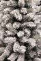 Black Box medford kerstboom groen frosted tips 710 maat in cm: 215x114