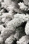 Black Box medford kerstboom groen frosted tips 710 maat in cm: 215x114