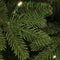 Black Box Trees Brampton Kunstkerstboom Slim met LED Verlichting - H230 x Ø132 cm - Groen