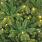 Black Box Trees Brampton Kunstkerstboom Slim met LED Verlichting - H120 x Ø86 cm - Groen