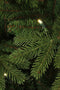 Black Box Trees Brampton Kunstkerstboom Slim met LED Verlichting - H230 x Ø132 cm - Groen