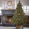 Black Box Trees Brampton Kunstkerstboom Slim met LED Verlichting - H120 x Ø86 cm - Groen
