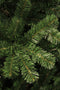 Black Box Trees Charlton Kunstkerstboom - H230 cm - Groen