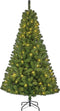 Black Box Trees Charlton Kunstkerstboom met LED Verlichting - H185 x Ø115 cm - Groen