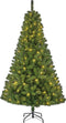Black Box Trees Charlton Kunstkerstboom met LED Verlichting - H215 x Ø127 cm - Groen