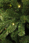 Black Box Trees Charlton Kunstkerstboom met LED Verlichting - H215 x Ø127 cm - Groen