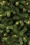 Black Box Trees Charlton Kunstkerstboom met LED Verlichting - H215 x Ø127 cm - Groen