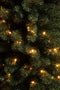 Black Box Trees Charlton Pilar kerstboom led groen warm wit 160L TIPS 362 en timer & dimmer - h215xd56cm