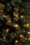 Black Box Trees Charlton Pilar kerstboom led groen warm wit 180L TIPS 409 en timer & dimmer - h230xd58cm