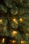 Black Box Trees Charlton Pilar kerstboom led groen warm wit 180L TIPS 409 en timer & dimmer - h230xd58cm